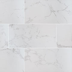 MS International Praia 24" x 48" Polished Carrara
