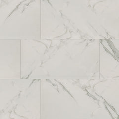 MS International Regallo 12" x 24" Matte Calacatta Isla