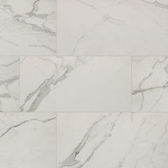 MS International Regallo 12" x 24" Polished Calacatta Isla