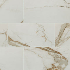 MS International Regallo 12" x 24" Polished Calacatta Marbella