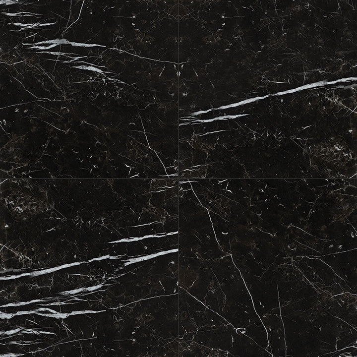 MS International Regallo 24" x 24" Polished Marquina Noir