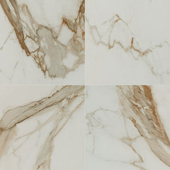 MS International Regallo 24" x 24" Polished Calacatta Marbella