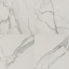 MS International Regallo 24" x 24" Polished Calacatta Isla