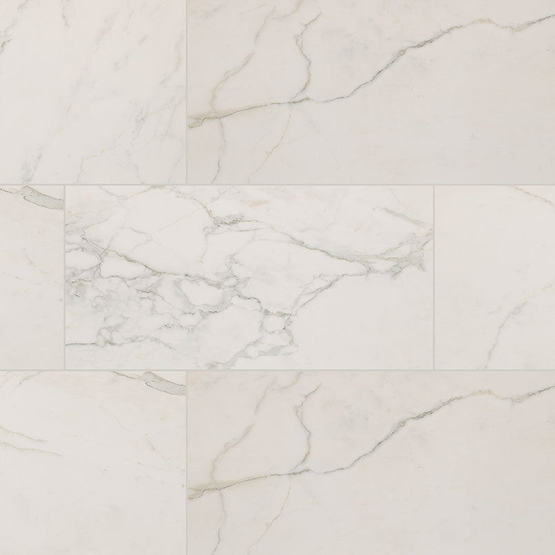 MS International Regallo 24" x 48" Matte Calacatta Isla