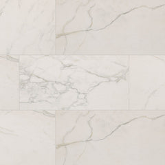MS International Regallo 24" x 48" Matte Calacatta Isla