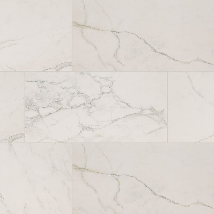 MS International Regallo 24" x 48" Polished Calacatta Isla
