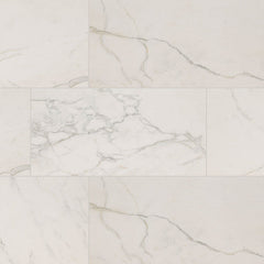 MS International Regallo 24" x 48" Polished Calacatta Isla