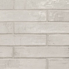 MS International Stella 2" x 10" Glossy Rhino