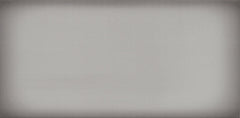 Emser Ombre 6"x12" Polished Silver
