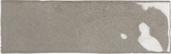 Emser Passion 3"x8" Gris