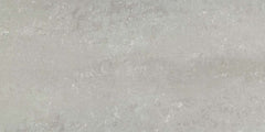 Emser Prodigy 12"x24" Polished Fermi