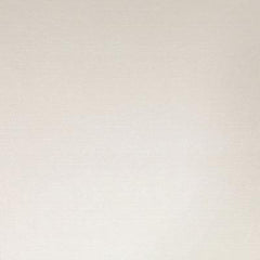 Daltile Pzazz 12" X 24" White Ritz