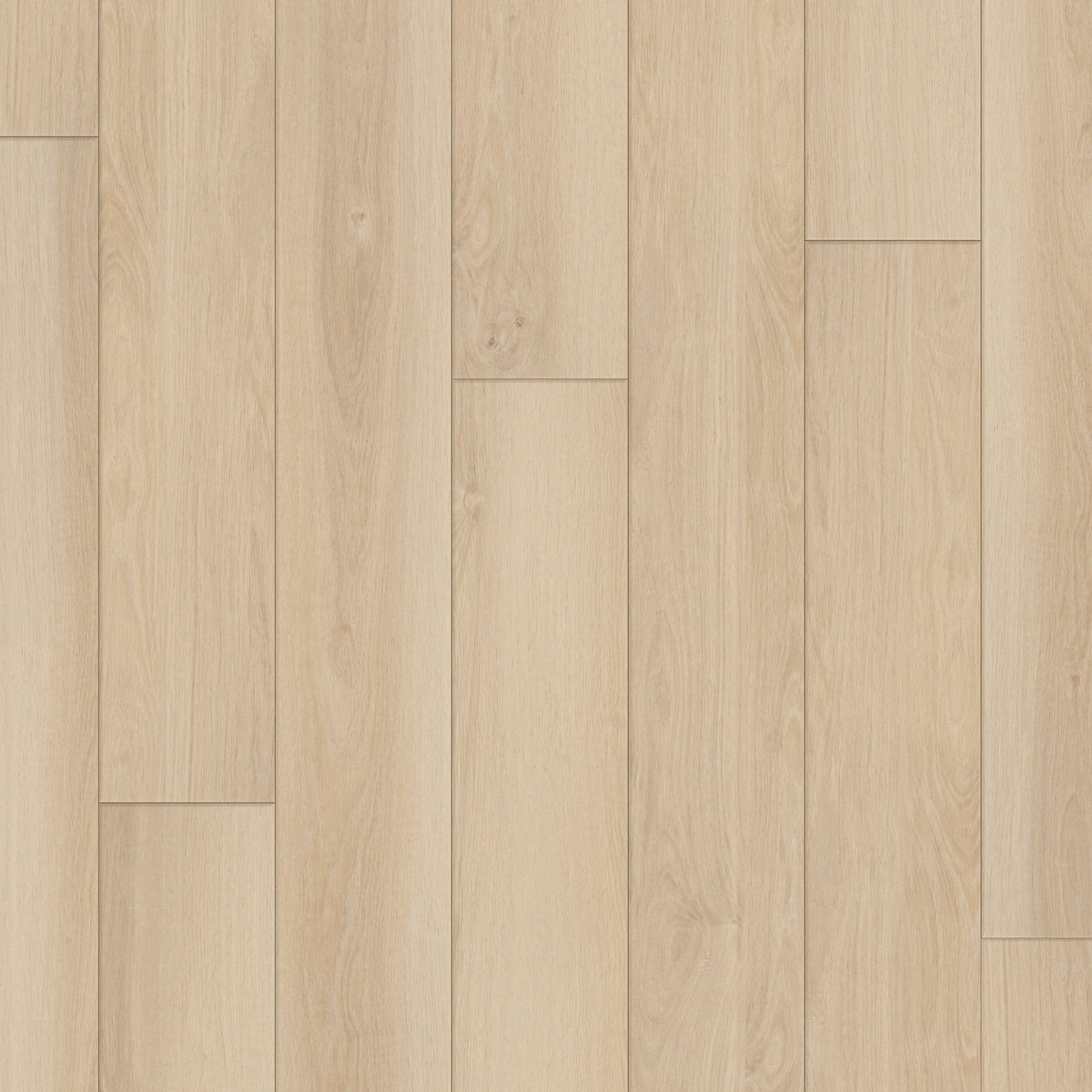 Happy Feet Regency 7" x 59.05" 8mm 20mil Stabilicor Plus (SPC) Sandy Bay