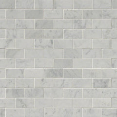 MS International Natural Stone Marble 12" x 12" Mosaic 2" x 4" Carrara White