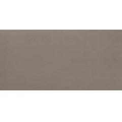 Daltile Fixture 12" X 24" Polished Soil