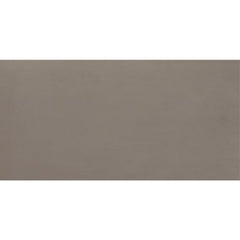Daltile Fixture 24" X 48" Polished Soil