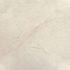 MS International Natural Stone Marble 12" x 12" Honed Crema Marfil Classic