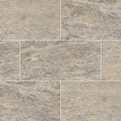 MS International Travertine 12" x 24" Silver Vein Cut