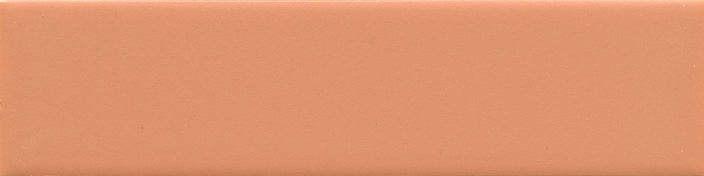 Emser Triveni 2" X 8" Matte Canyon