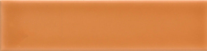 Emser Triveni 2" X 8" Glossy Canyon