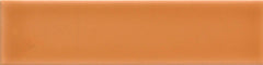 Emser Triveni 2" X 8" Glossy Canyon