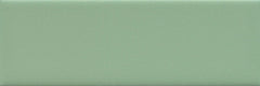 Emser Triveni 2" X 6" Matte Forest