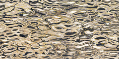 Emser Zambia 24" X 47" Deco Glossy Leopard