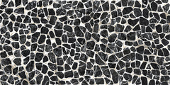 Emser Zambia 24" X 47" Deco Glossy Turtle