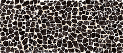 Emser Zambia 47" X 109" Deco Glossy Turtle