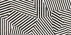Emser Zambia 24" X 47" Deco Glossy Zebra