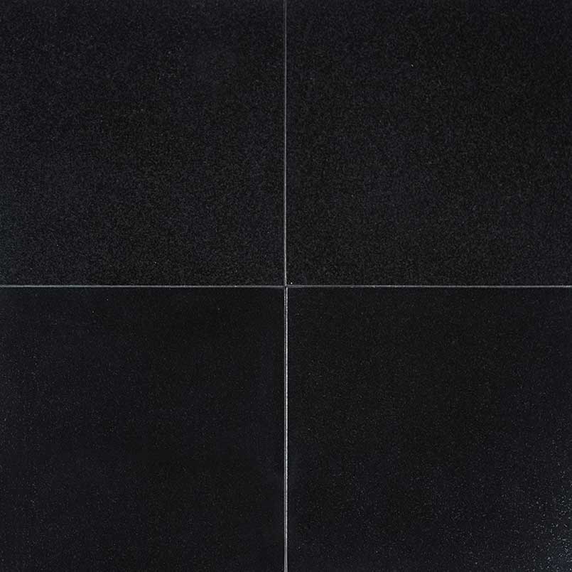 MS International Natural Stone Granite 12" x 12" Polished Absolute India Black