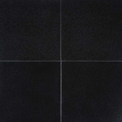 MS International Natural Stone Granite 12" x 12" Polished Absolute India Black