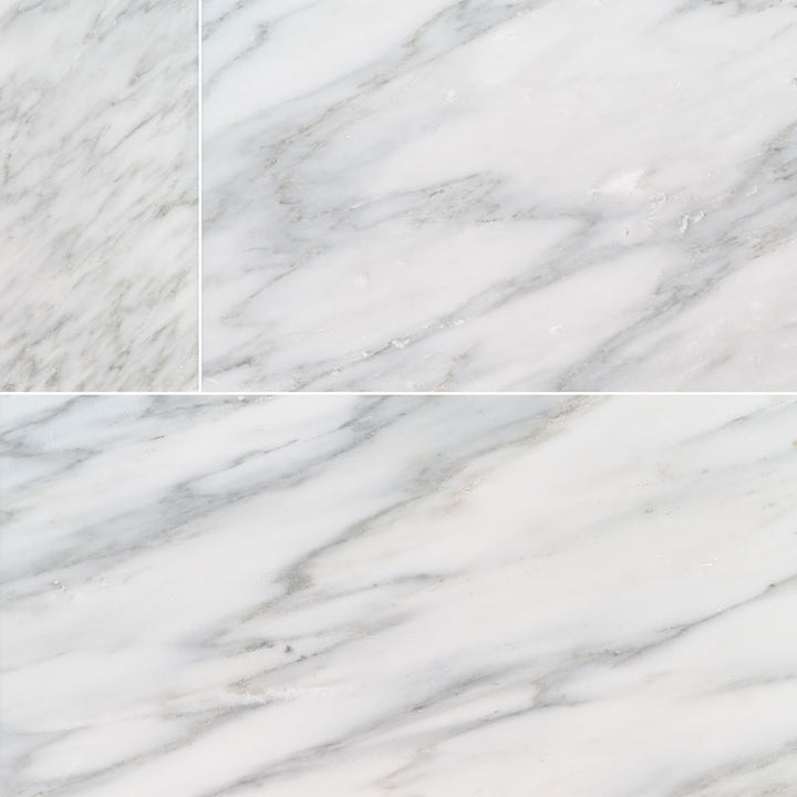 MS International Natural Stone Marble 6" x 12" Arabescato Carrara