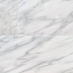 MS International Natural Stone Marble 6" x 12" Arabescato Carrara