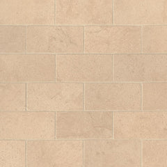 MS International Aria 2" x 4" Mosaic Polished Cremita
