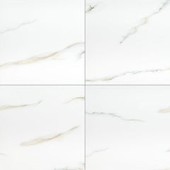 MS International Aria 24" x 24" Polished Bianco