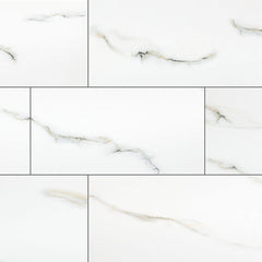 MS International Aria 24" x 48" Polished Bianco