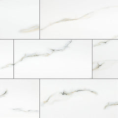 MS International Aria 12" x 24" Polished Bianco