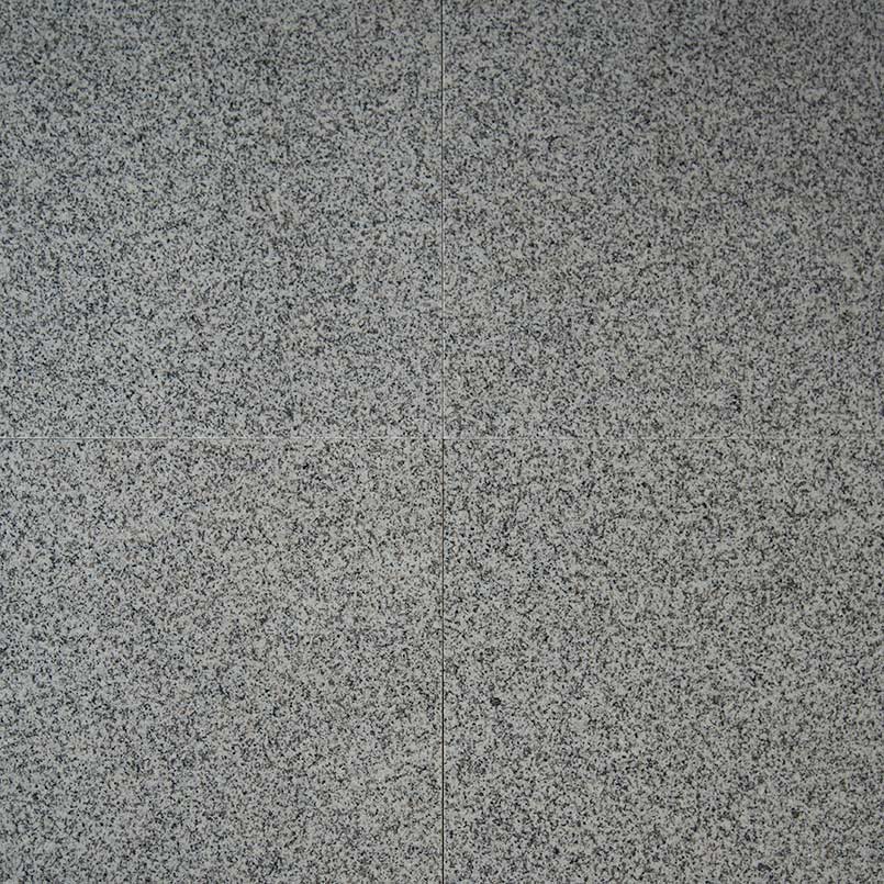 MS International Natural Stone Granite 12" x 12" Polished Bianco Catalina