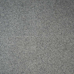 MS International Natural Stone Granite 12" x 12" Polished Bianco Catalina