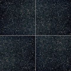MS International Natural Stone Granite 18" x 18" Polished Black Galaxy