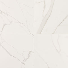 MS International Kaya 24" x 24" Polished Calacatta Venato