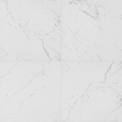 MS International Pietra 24" x 24" Matte Carrara