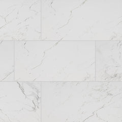 MS International Pietra 12" x 24" Matte Carrara