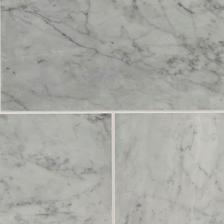 MS International Natural Stone Marble 6" x 12" Carrara White