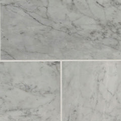 MS International Natural Stone Marble 6" x 12" Carrara White