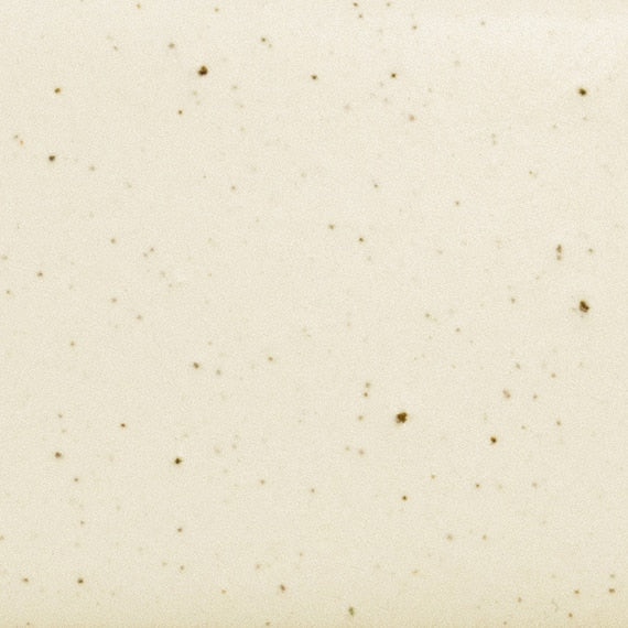 Daltile Natural Hues 4'' x 8'' Matte Freckles