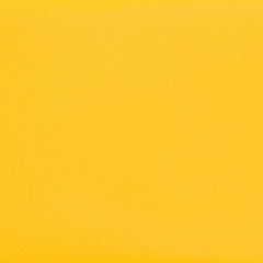 Daltile Natural Hues 4'' x 8'' Matte Daisy