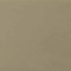 Daltile Natural Hues 6'' x 6'' Matte Birch