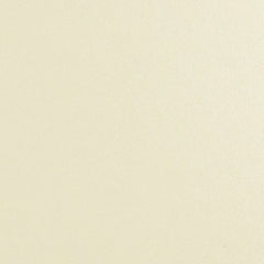 Daltile Natural Hues 6'' x 6'' Matte Ivory